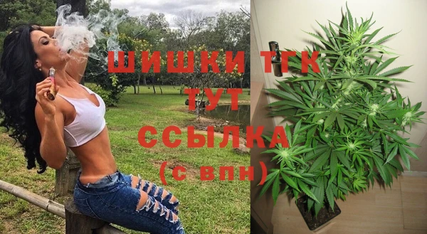 мет Алексин