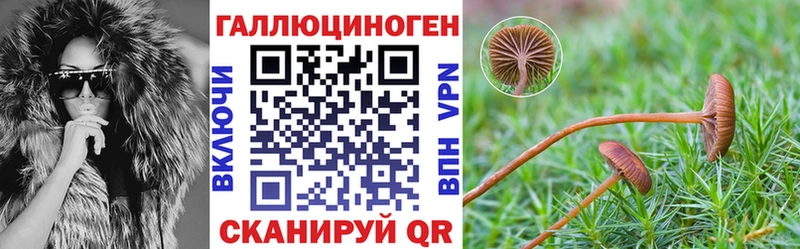 Псилоцибиновые грибы Psilocybe Петушки
